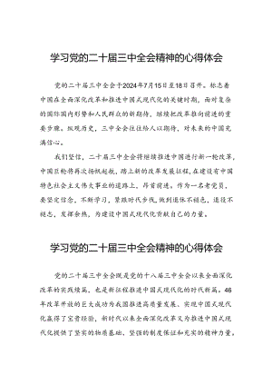 学习二十届三中全会精神心得体会简短发言31篇.docx