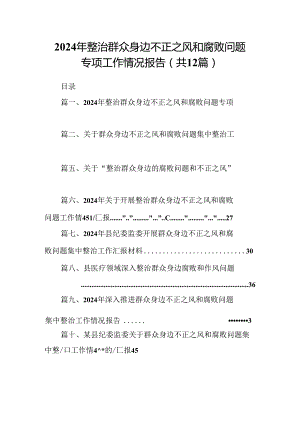 2024年整治群众身边不正之风和腐败问题专项工作情况报告12篇（精选）.docx