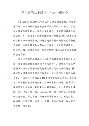 学习2024年党的二十届三中全会心得体会 （13份）_91.docx