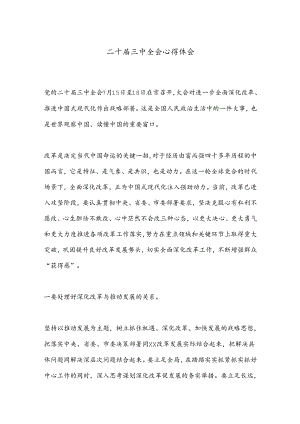 二 十届三 中全会心得体会.docx