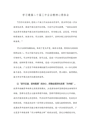 学习遵循二十届三中全会精神心得体会.docx