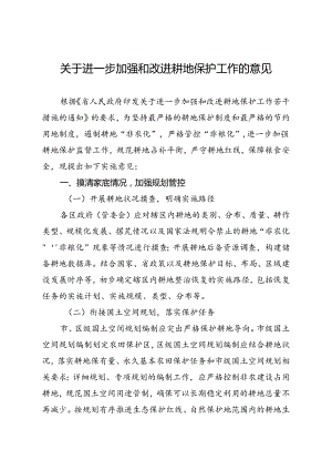 关于进一步加强和改进耕地保护工作的意见.docx