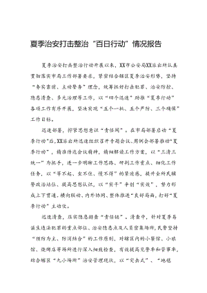 十二篇2024年公安夏季治安打击整治“百日行动”阶段性总结报告.docx