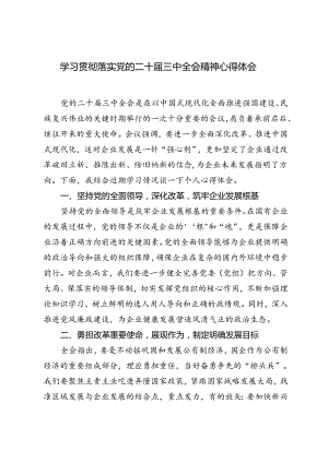 2篇 学习贯彻落实党的二十届三中全会精神心得体会.docx