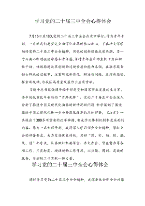 学习2024年党的二十届三中全会心得体会 （13份）_51.docx