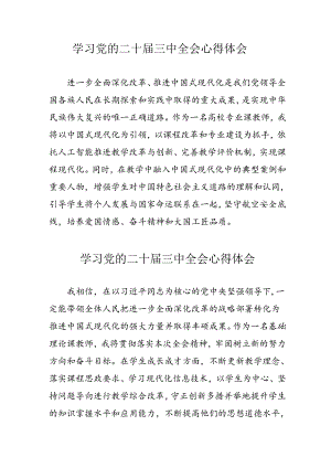 学习2024年党的二十届三中全会心得体会 （11份）_55.docx