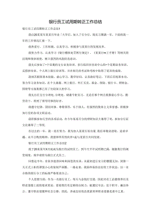 银行员工试用期转正工作总结.docx