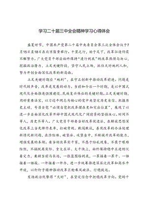 3篇 学习二十届三中全会精神学习心得体会.docx