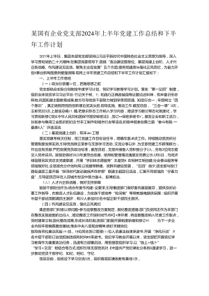 某国有企业党支部2024年上半年党建工作总结和下半年工作计划.docx