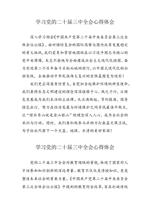 学习2024年党的二十届三中全会心得体会 （10份）_88.docx