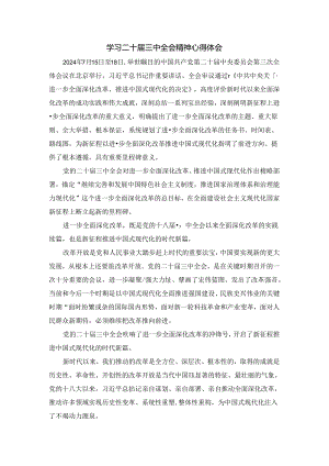 2024年学习二十届三中全会心得感悟二.docx