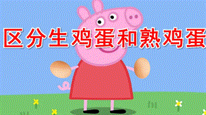 中班科学《区分生鸡蛋和熟鸡蛋》PPT课件教案微课件.pptx