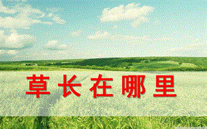 中班科学《草长在哪里》PPT课件教案草长在哪里.pptx