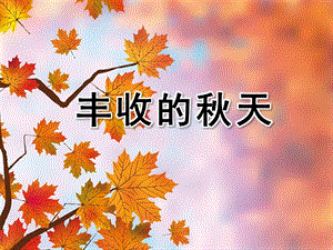 中班社会《丰收的天》PPT课件教案微课件.pptx