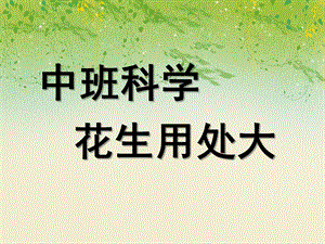 中班科学《花生用处大》PPT课件花生用处大.pptx