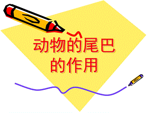 中班《动物的尾巴的作用》PPT课件教案动物的尾巴的作用.pptx