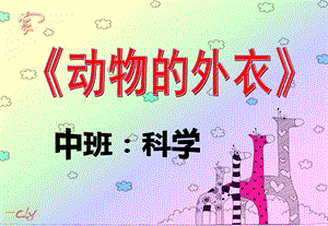 中班科学《动物的外衣》PPT课件中班科学《动物的外衣》.pptx