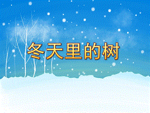 中班美术《冬天里的树》PPT课件教案PPT课件.pptx