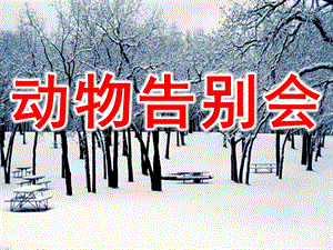 中班《动物告别会》PPT课件中班--动物告别会.pptx