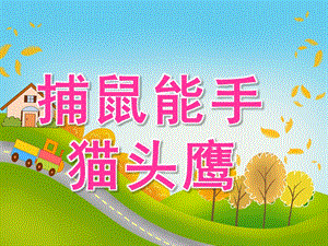 中班科学《捕鼠能手-猫头鹰》PPT课件教案PPT课件.pptx