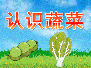 中班科学活动《认识蔬菜》PPT课件教案PPT课件.pptx