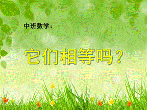 中班数学《它们相等吗？》PPT课件教案.pptx