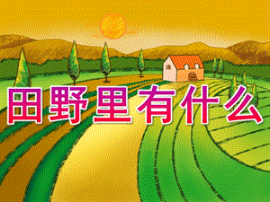 中班社会《田野里有什么》PPT课件教案PPT课件.pptx