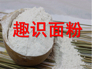 中班科学《趣识面粉》PPT课件教案幼儿园中班科学-《趣识面粉》.pptx