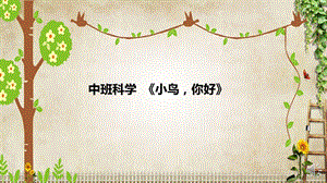 中班科学《小鸟你好》2套公开课视频+PPT课件+教案和反思+小视频中班科学《小鸟你好》课件.pptx