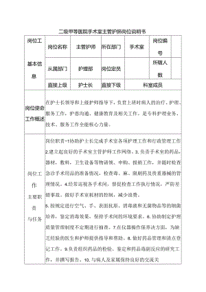 二级甲等医院手术室主管护师岗位说明书.docx