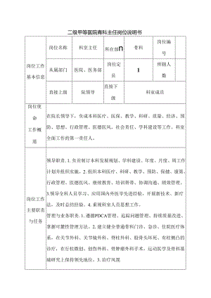 二级甲等医院骨科主任岗位说明书.docx