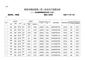 监管责任汇总表.docx