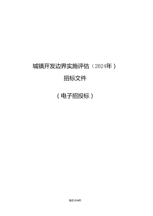 城镇开发边界实施评估（2024年）招标文件.docx