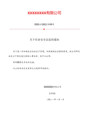 【模板】关于任命《XX公司安全总监》的任命书.docx