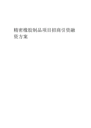 精密橡胶制品项目招商引资融资方案.docx