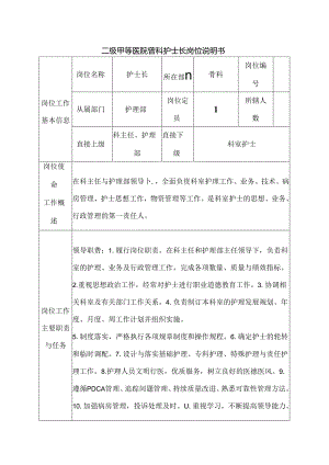 二级甲等医院骨科护士长岗位说明书.docx