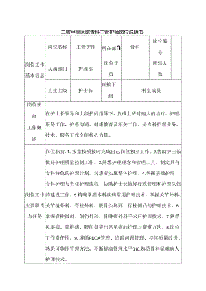 二级甲等医院骨科主管护师岗位说明书.docx