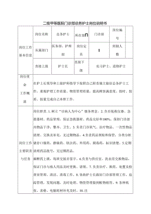 二级甲等医院门诊部总务护士岗位说明书.docx