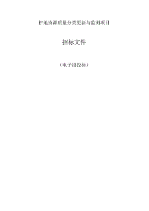 耕地资源质量分类更新与监测项目招标文件.docx