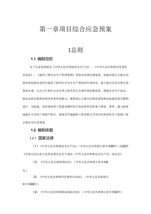 项目应急预.docx