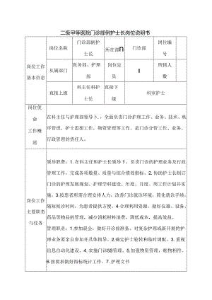二级甲等医院门诊部副护士长岗位说明书.docx