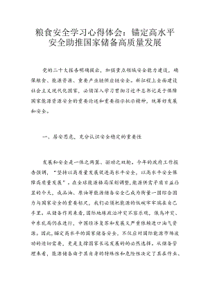 粮食安全学习心得体会：锚定高水平安全 助推国家储备高质量发展.docx