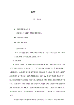 新建年生产6000吨塑料集装袋项目可行性研究报告-106页优秀甲级资质可研.docx
