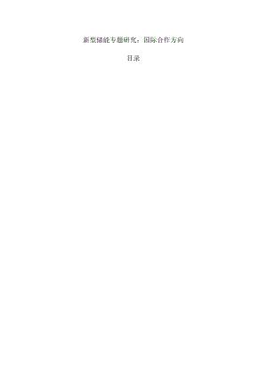 新型储能专题研究：国际合作方向.docx