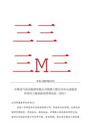 中心试验室对项目工地试验室管理办法（试行）.docx