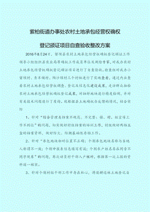 土地确权整改方案.docx