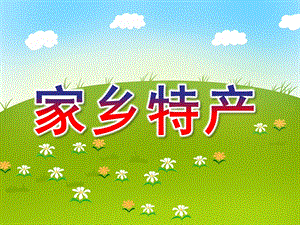大班社会《家乡特产》PPT课件教案幼儿园大班家乡特产.pptx