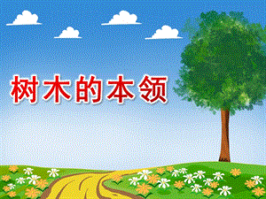 大班科学《树木的本领》PPT课件教案微课件.pptx