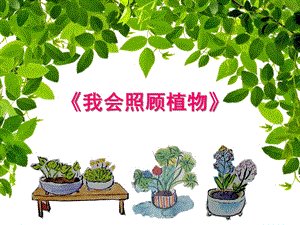 大班科学《我会照顾植物》PPT课件幼儿园大班课件《我会照顾植物》.pptx