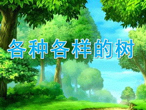 大班社会《各种各样的树》PPT课件教案.pptx